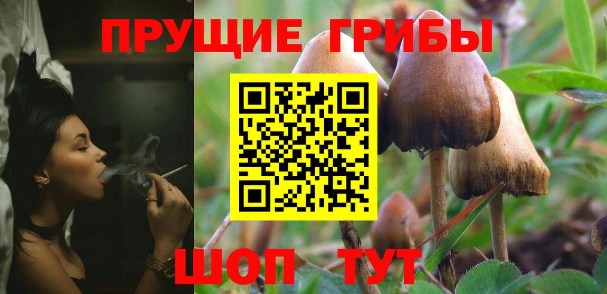 Мариинск  Псилоцибиновые грибы мухоморы  Вход с VPN  Псилоцибиновые грибы MAGIC MUSHROOMS 